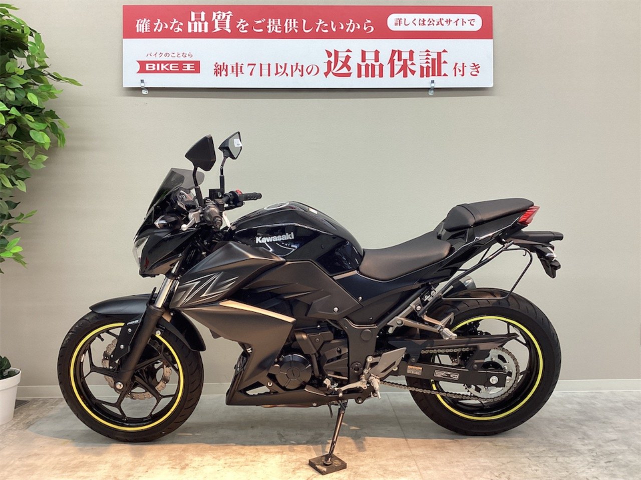 Ｚ２５０ □ＡＢＳ／ＭＲＡスクリーン／サイドバッグサポート／シフトインジケーター／1口ＵＳＢ／メットホルダー□ | バイク買うなら【バイク王】