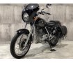  ST250 Eタイプ　2009年モデル　ビキニカウル　サドルバック　アクティブ製LEDナンバーサイドウィンカー！!