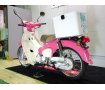 Super Cub 110 天気の子ver.（スーパーカブ）　2020年モデル／リアボックス装備／インジェクション