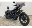 Sportster 1200NS Iron [ XL1200NS ]コブラマフラー　エアクリーナー　ペアライド仕様　フットペグ　シーシーバー　IGコイル/メインスイッチ移設　　ハンドル　LEDライト