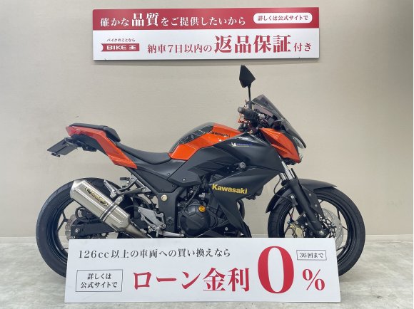 Ｚ２５０　ＳＴＲＩＫＥＲマフラー　ブレンボ製キャリパー　シフトインジケーター　アクセサリー電源他カスタム