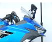 ニンジャ250　Ninja 250　フェンダーレス装備／スペアキーあり