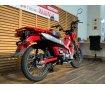 ＣＴ１２５　ハンターカブ　★並行輸入車／２０２１年モデル／ベトナムキャリア／ヘルメットロック