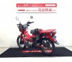 ＣＴ１２５ハンターカブ　ロッドホルダー・フロントキャリア・ＵＳＢ2口・フロントマルチラック・ハンドルスペーサー装備車両！!