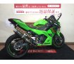 Ninja 250 KRT Edition【WR'Sサイレンサー・エンジンスライダー・スクリーン他カスタム☆】！!