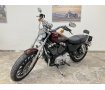 Sportster 1200 Low [ XL1200L ]デイトナスリップオンマフラー　K&Hシート　エンジンガード　シーシーバー！!