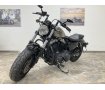 Sportster 1200X Forty-eight [ XL1200X ]Zバーハンドル　ペアライド　シーシーバー　エンジンガード　サドルバッグサポート　USB-A×１　キー付きガスキャップ