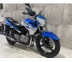 GSR250　2014年モデル　ナックルガード　リアキャリア　USB装備