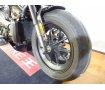  Sportster S [ RH1250S ]　2022年モデル／サドルバッグサポート