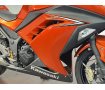 ＮＩＮＪＡ２５０　ブレンボ製キャリパー　スライダー　フェンダーレス！!