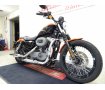 Sportster 1200 Nightster [ XL1200N ]　エンジンガード/サイドバック