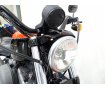 Sportster 1200 Nightster [ XL1200N ]　エンジンガード/サイドバック