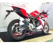 CBR250RR　ABS／2017年モデル／カスタムクラッチレバー