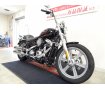 Softail Standard [ FXST1750 ]　エンジンガード/C・Cバー