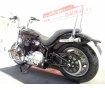 Softail Standard [ FXST1750 ]　エンジンガード/C・Cバー