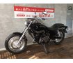 エリミネーター２５０Ｖ　打倒マグナを目指したカワサキ本気のスポーツアメリカン！この車両だけに搭載された水冷Ｖツインエンジン!！!