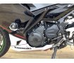 ＮＩＮＪＡ２５０　ＫＲＴエディション★☆アウテック製フェンダーレエスキット装備！☆★