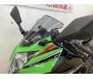 ＮＩＮＪＡ２５０ＳＬ　ＫＲＴエディション★☆ストライカー製バックステップ装備！☆★！!