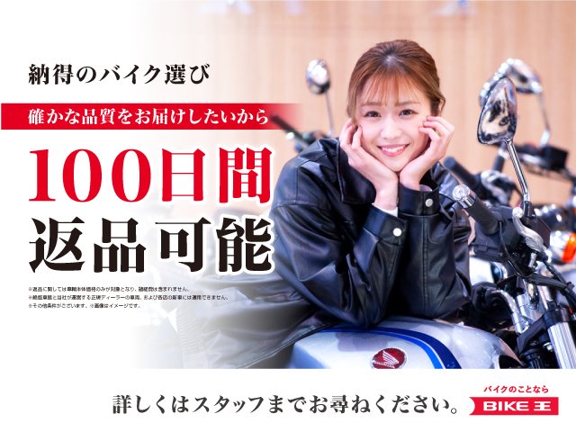 レブル250 Sエディション【マットブラック・USB1ポート付き