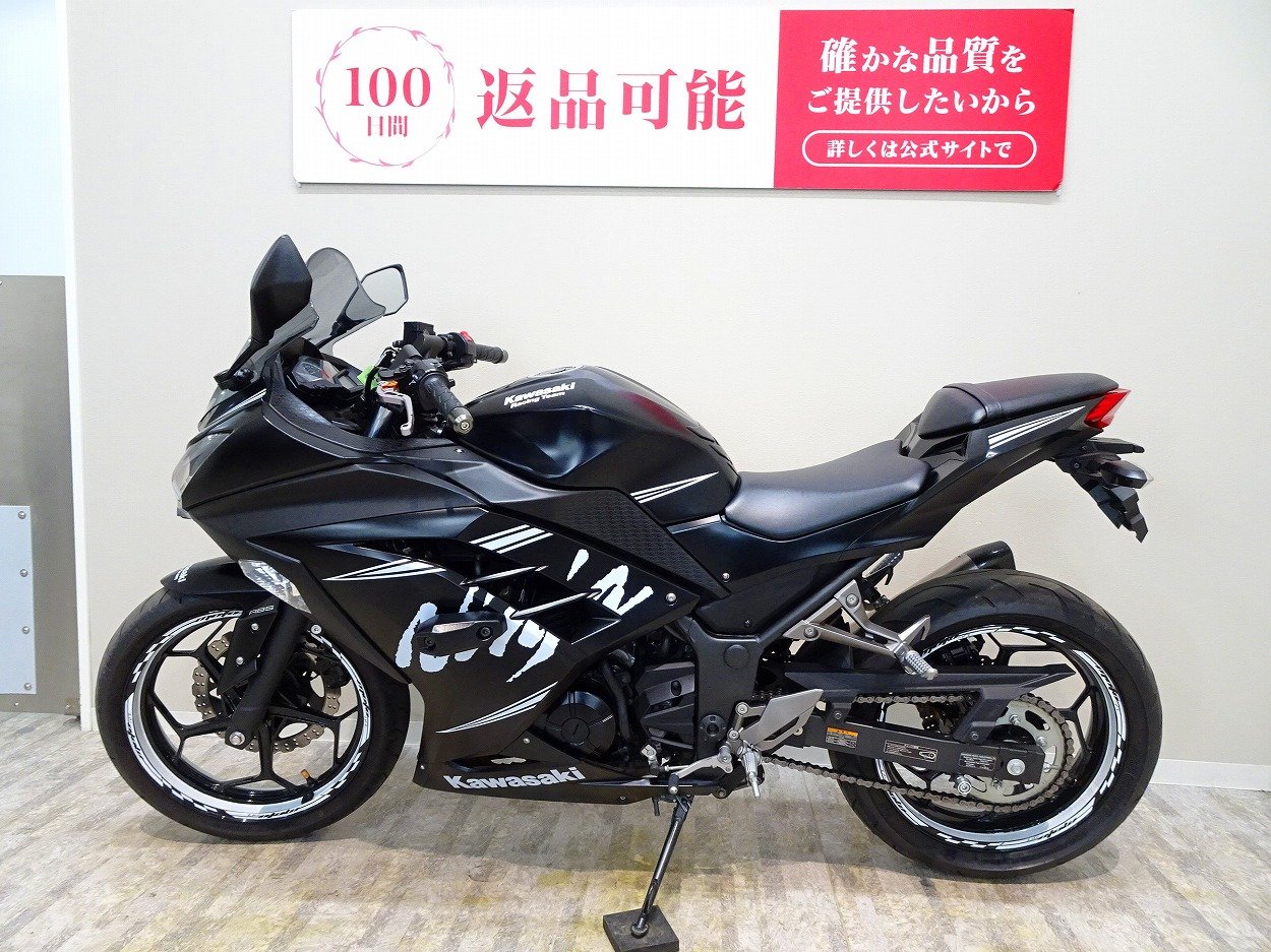 KAWASAKI NINJA250ウィンターエディション