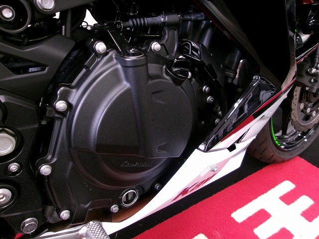 実働好調車外し　RZ250 取り外し エンジン　4L1検　外装　マフラー　シート 実働好調車外し RZ250 取り外し エンジン 4L1検 外装 マフラー