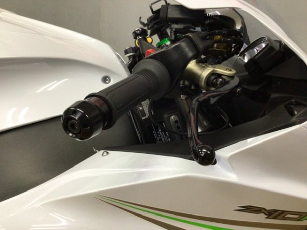 Ninja ZX-10R マレーシア仕様 ワンオーナー ARROWサイレンサー