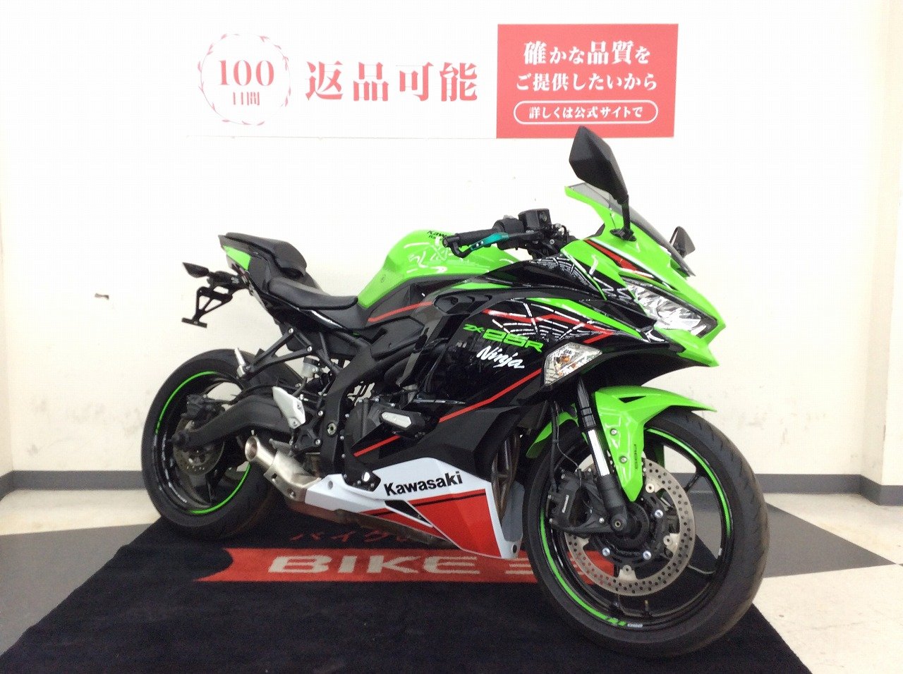 E サイカスカイルンシアナ /ブルー/ドワーフ/レア株 /発根済み /オススメ 2025年最新】サイカスカイルンシアナの人気アイテム - メルカリ