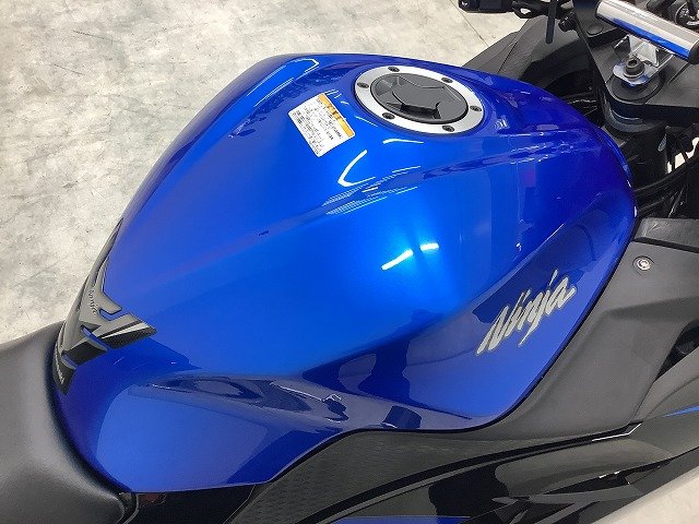 Ninja 250 Special Edition BEETサイレンサー・フェンダーレス