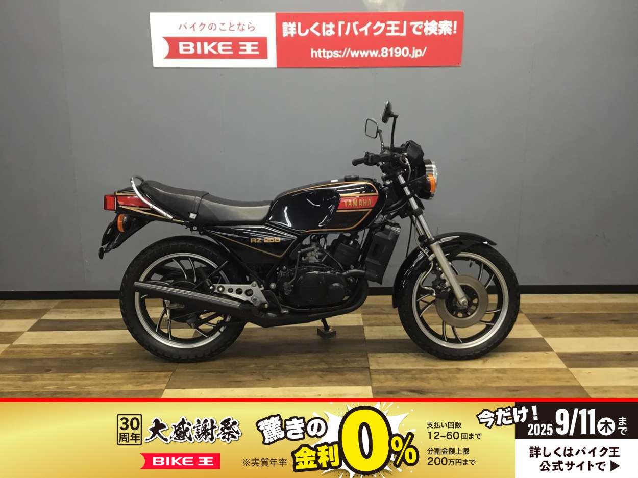 希少!! 大容量 RZ250 &350 4L3 4L0 フェンダーレス rz