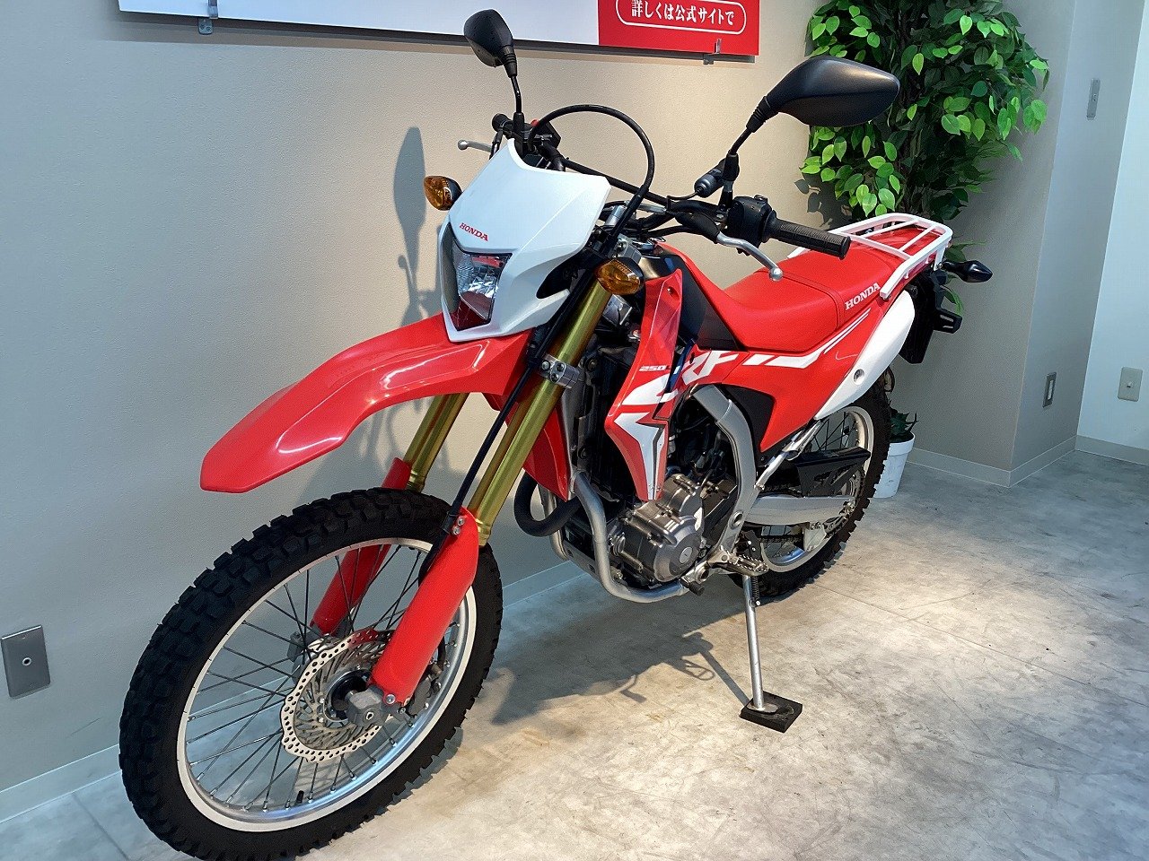 21701273.jpg?resize=600,450,ffffff