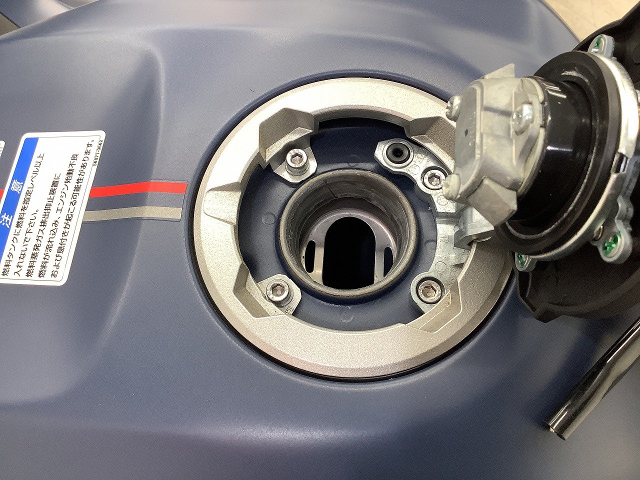 21835957.jpg?resize=600,450,ffffff