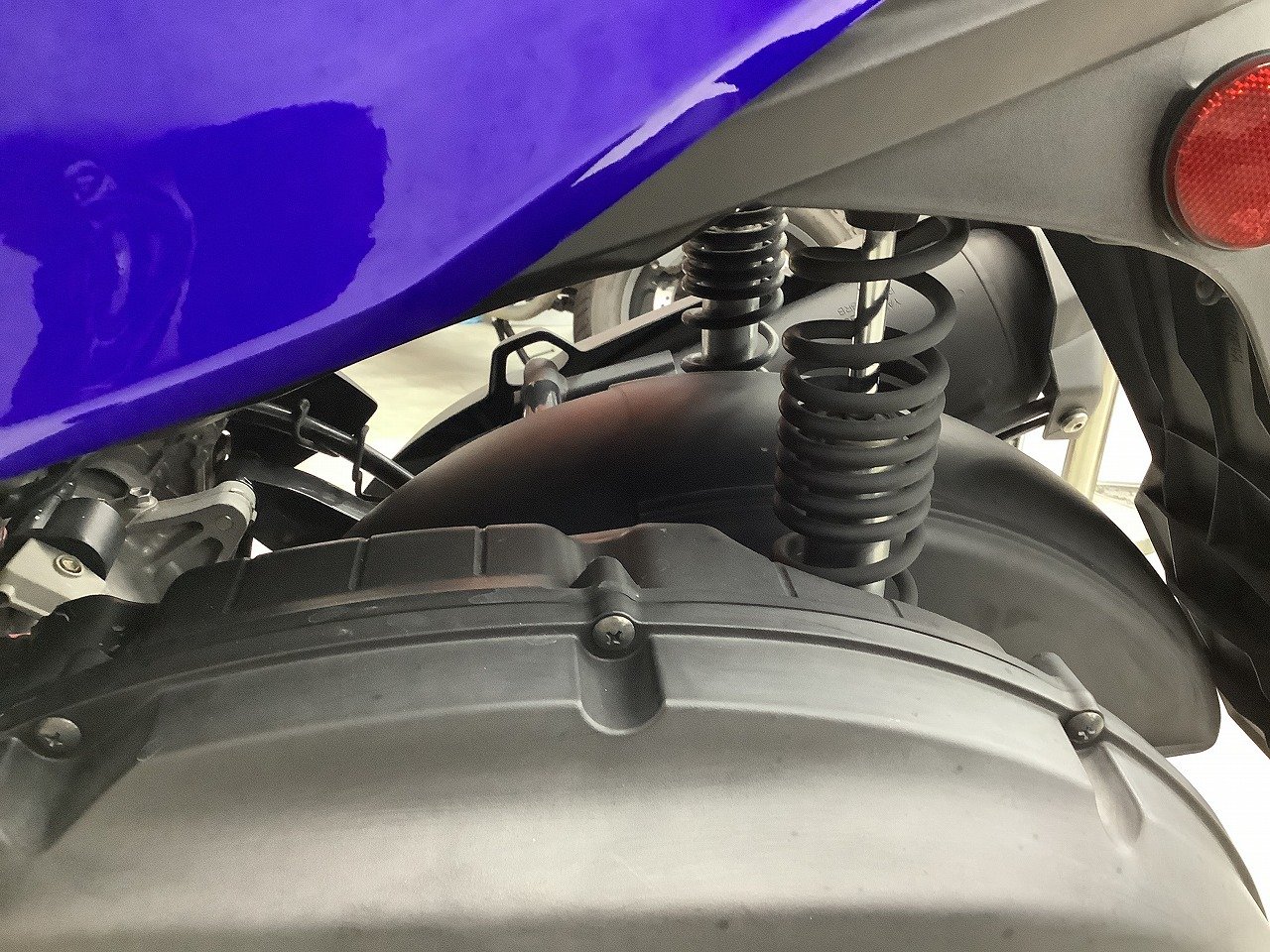 21987890.jpg?resize=600,450,ffffff