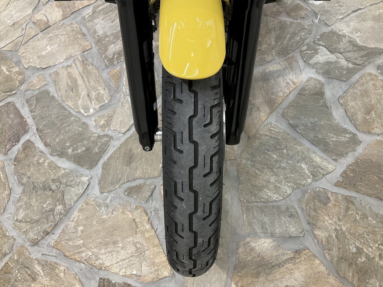 ガーマルちば@プロフ XakiMichele.jpg