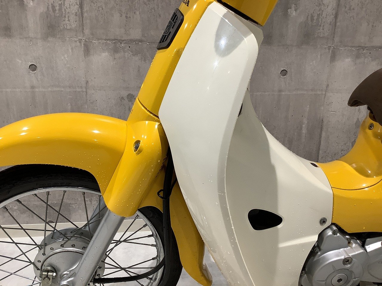 22091055.jpg?resize=600,450,ffffff