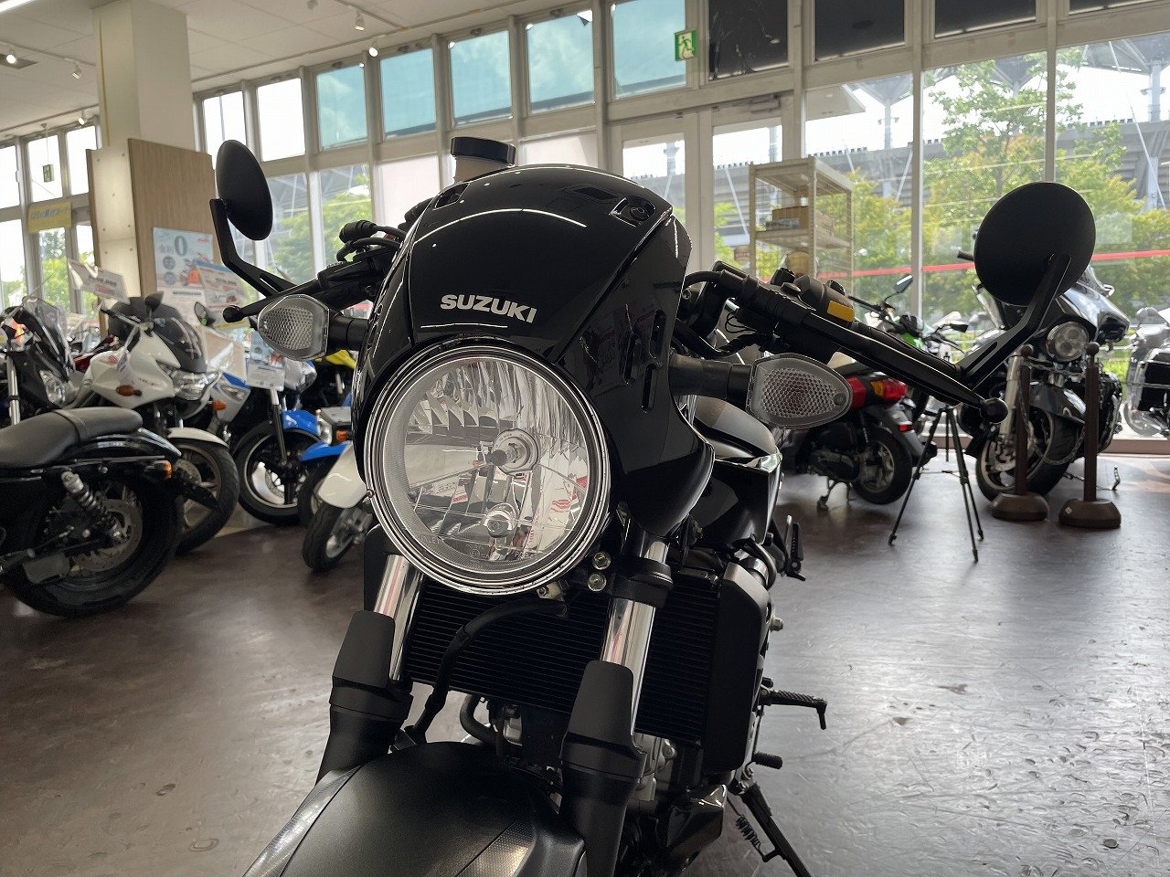 22199797.jpg?resize=600,450,ffffff