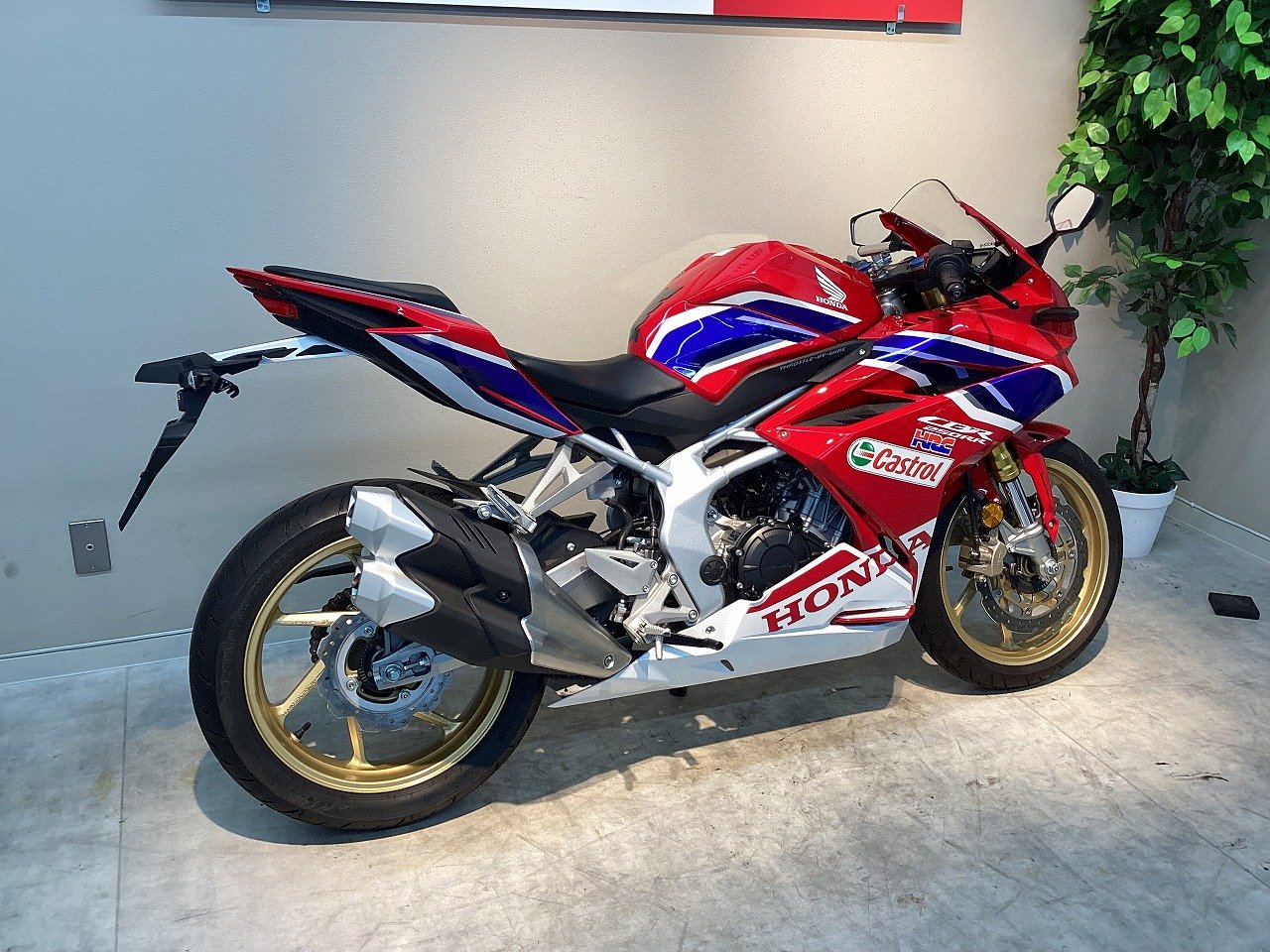 22260655.jpg?resize=600,450,ffffff