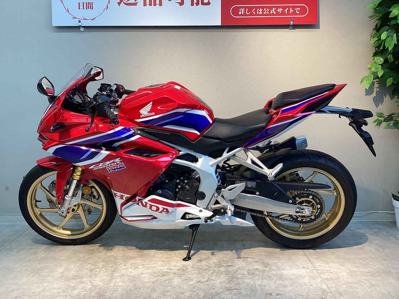 22260665.jpg?resize=600,450,ffffff