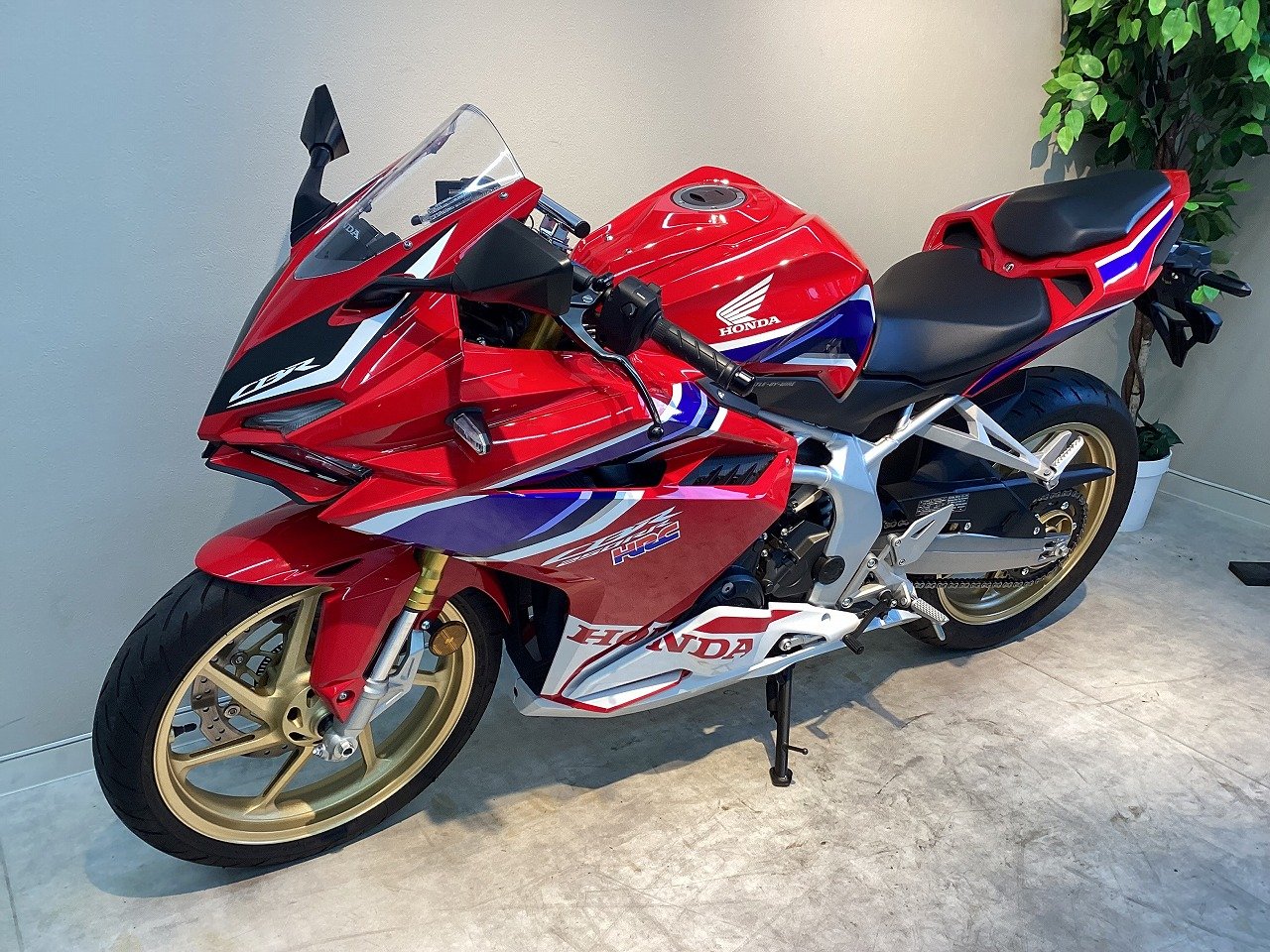 22260666.jpg?resize=600,450,ffffff