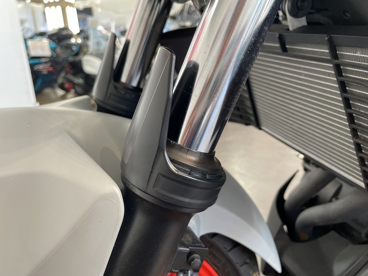 22307016.jpg?resize=600,450,ffffff