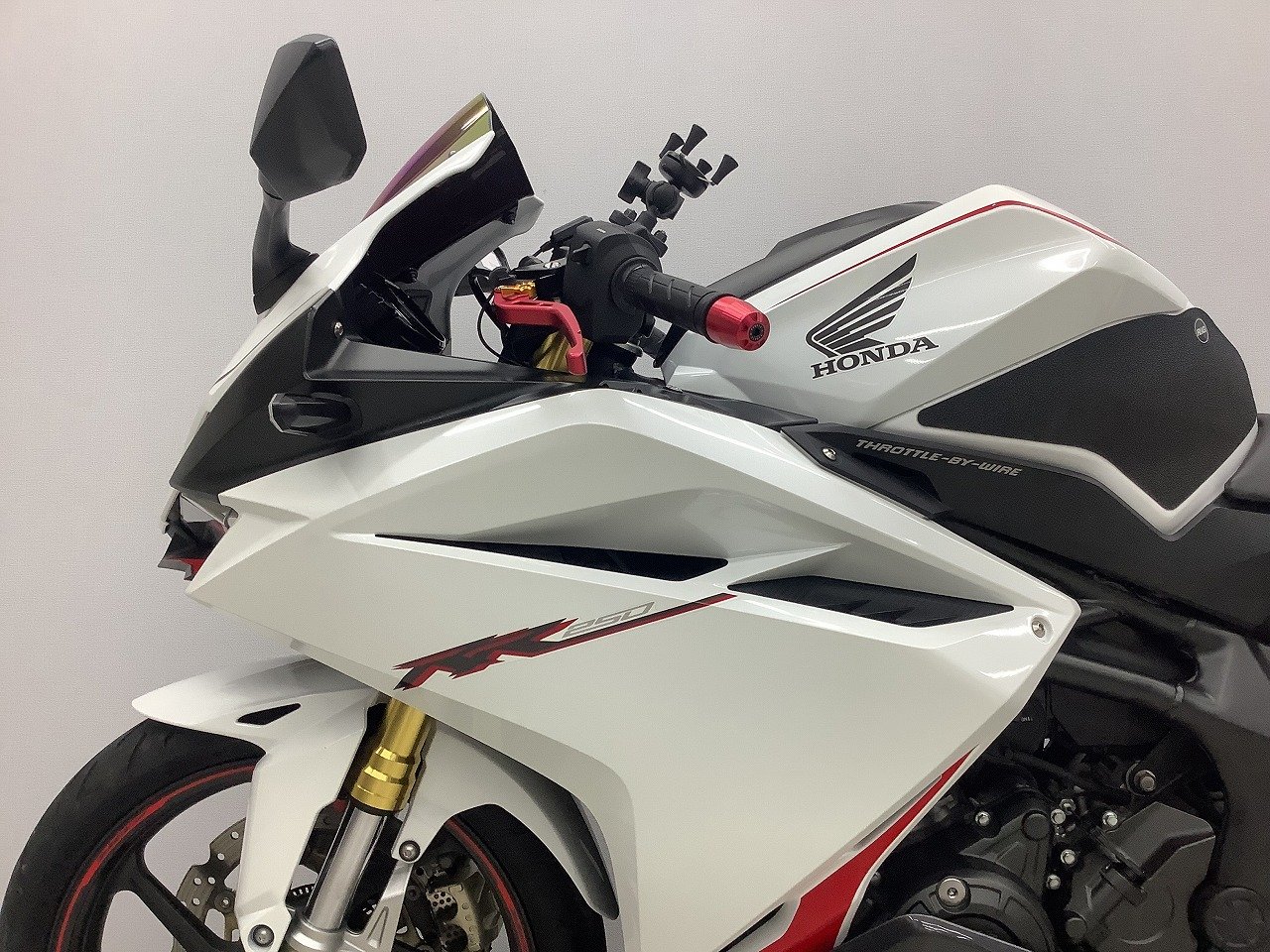 22701692.jpg?resize=600,450,ffffff