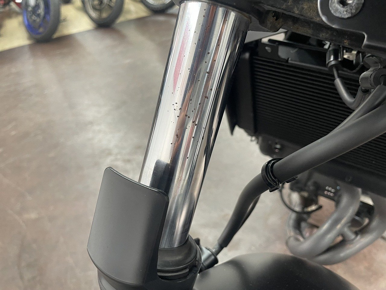 22844254.jpg?resize=600,450,ffffff