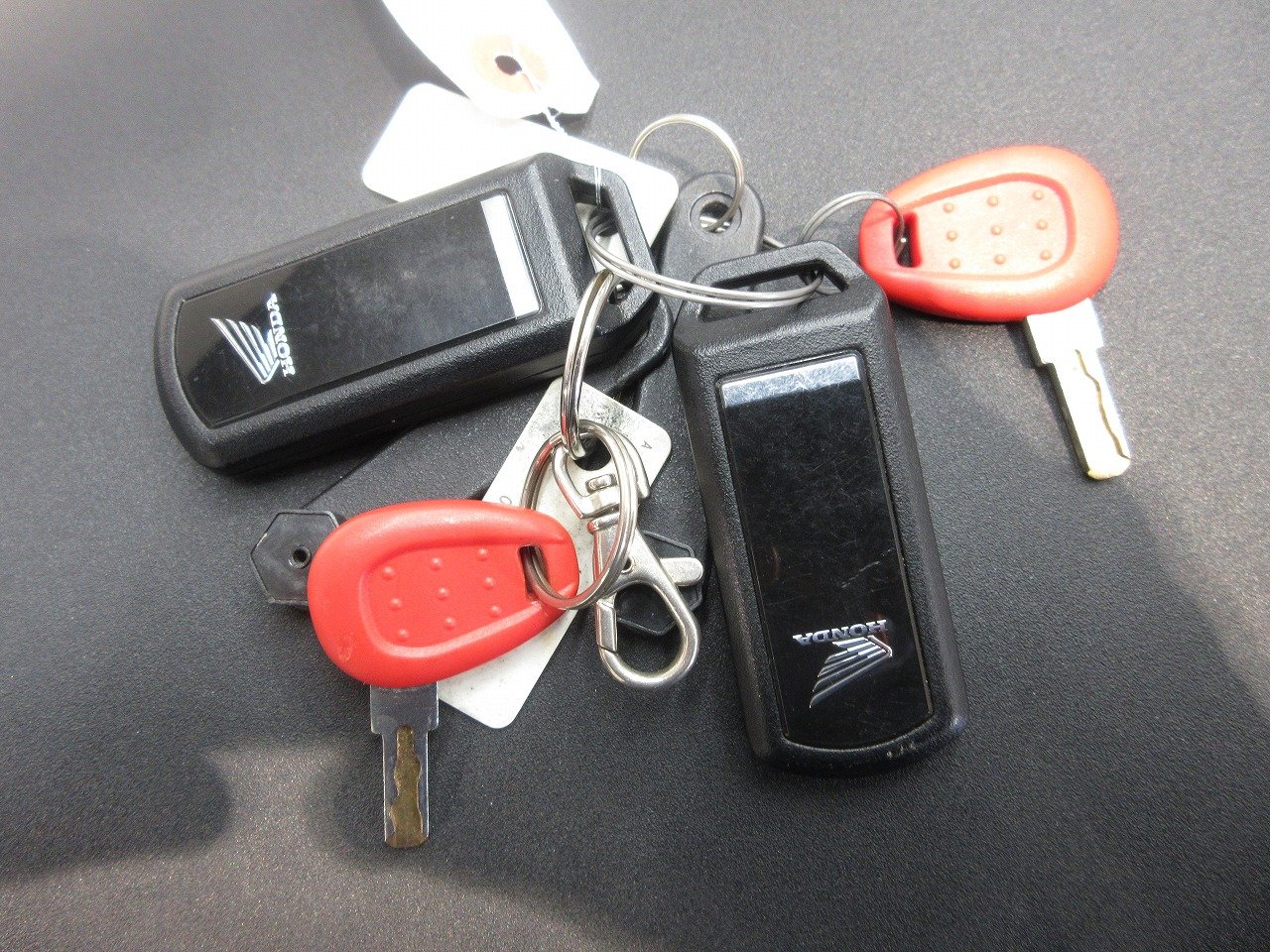 22854269.jpg?resize=600,450,ffffff