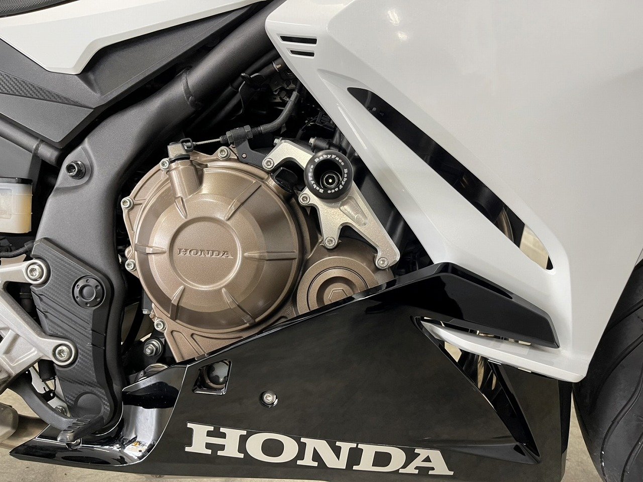 22902012.jpg?resize=600,450,ffffff