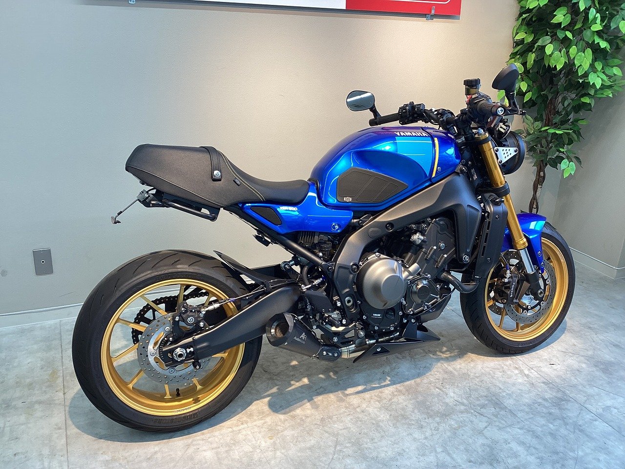 22969841.jpg?resize=600,450,ffffff