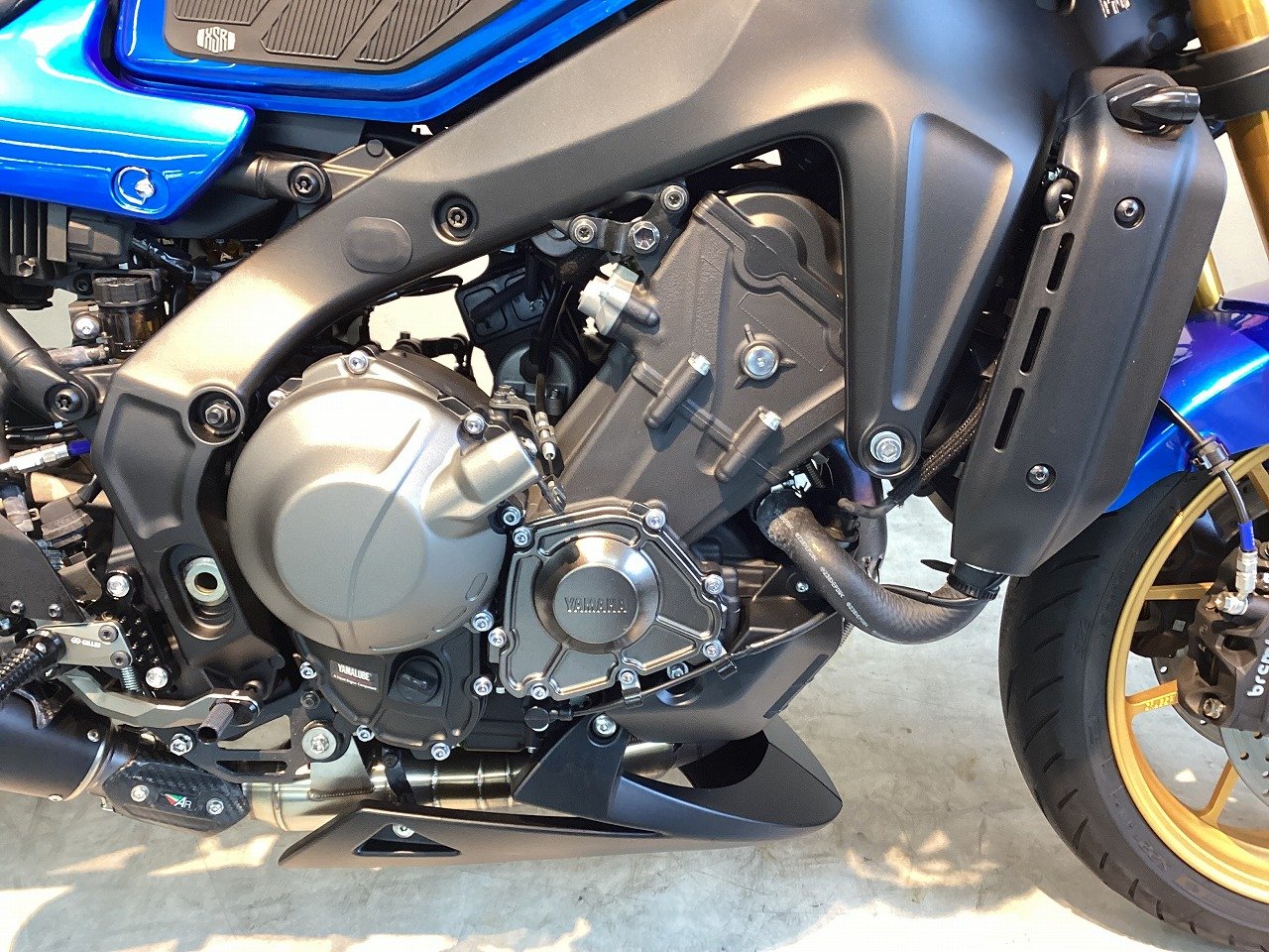 22969847.jpg?resize=600,450,ffffff