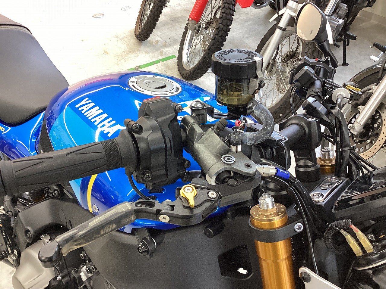 22969859.jpg?resize=600,450,ffffff