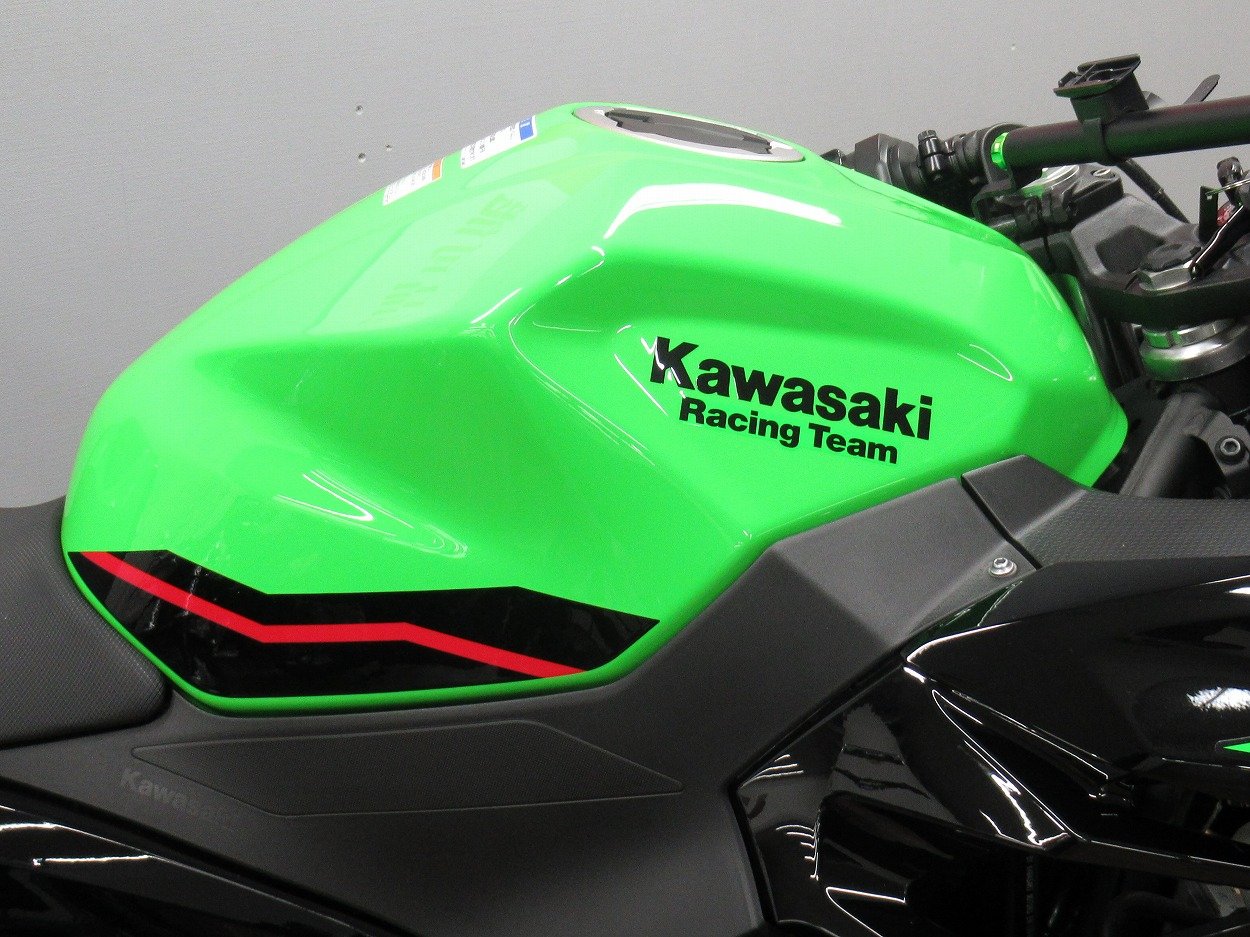 23010071.jpg?resize=600,450,ffffff