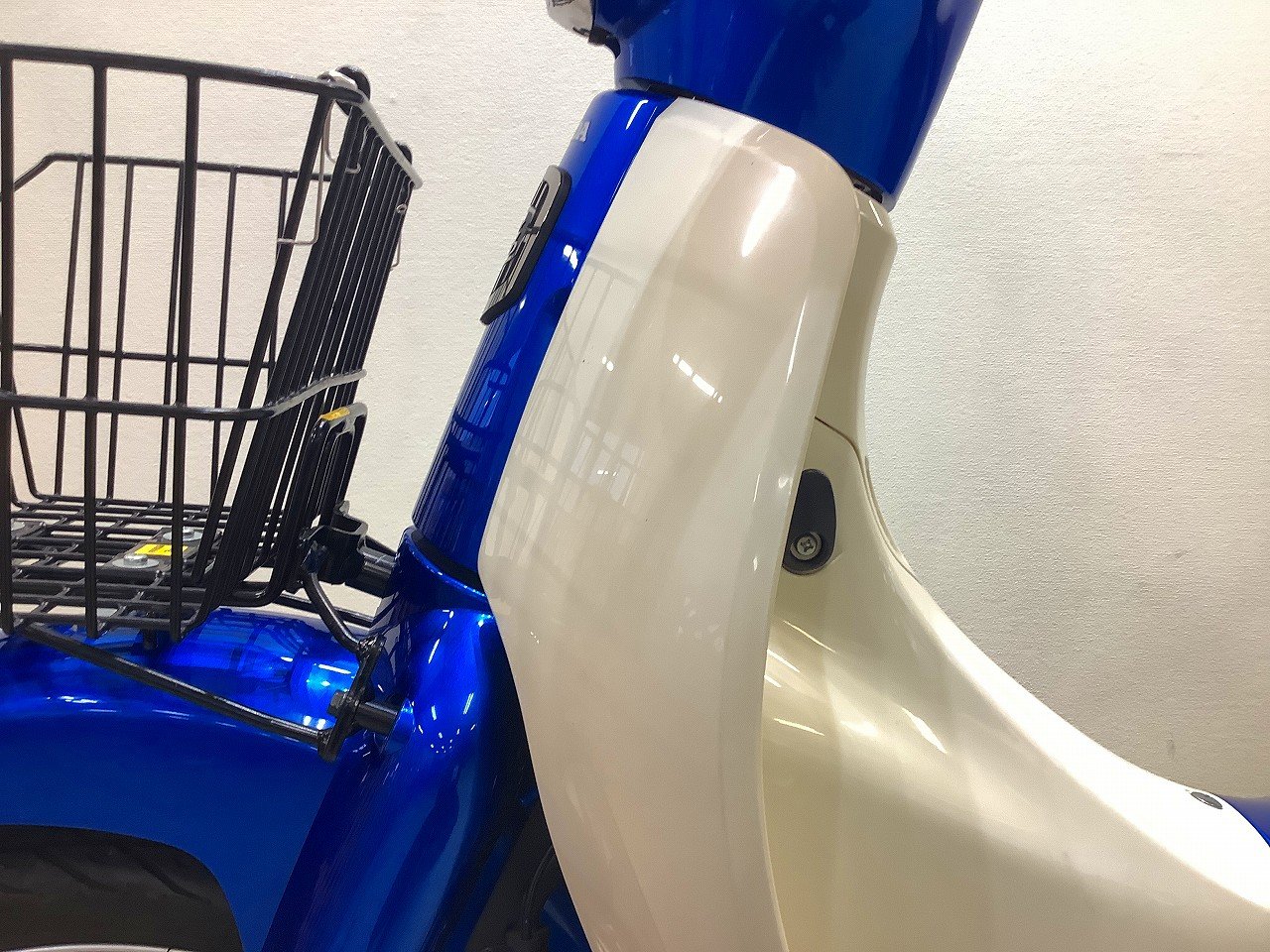 23043727.jpg?resize=600,450,ffffff