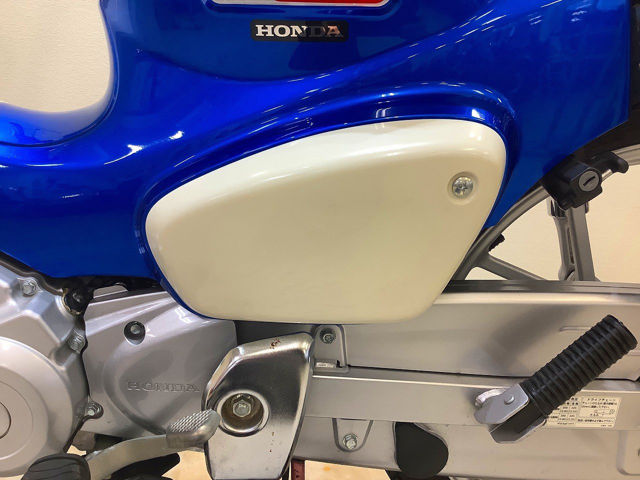 23043736.jpg?resize=600,450,ffffff