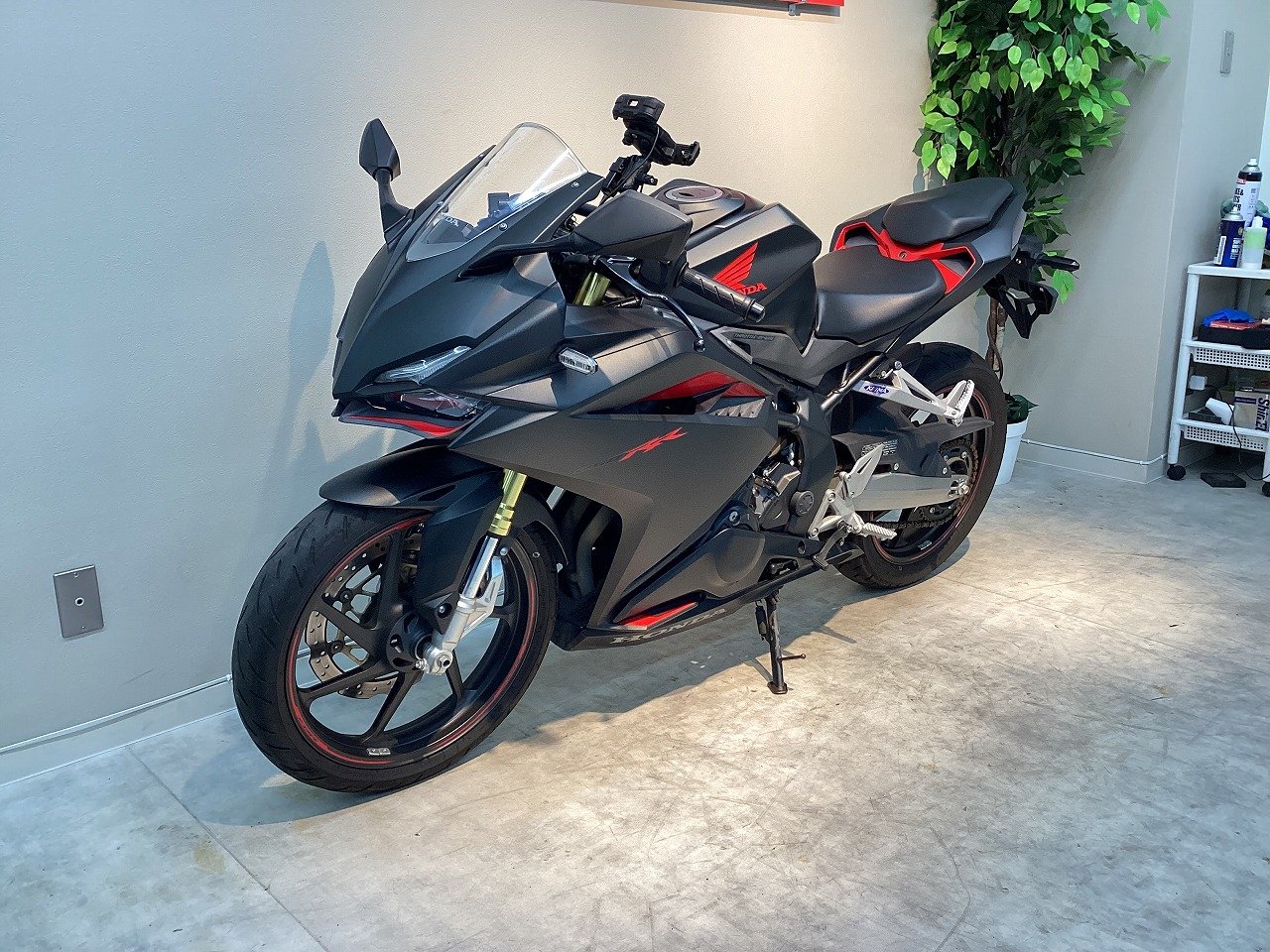 23170032.jpg?resize=600,450,ffffff